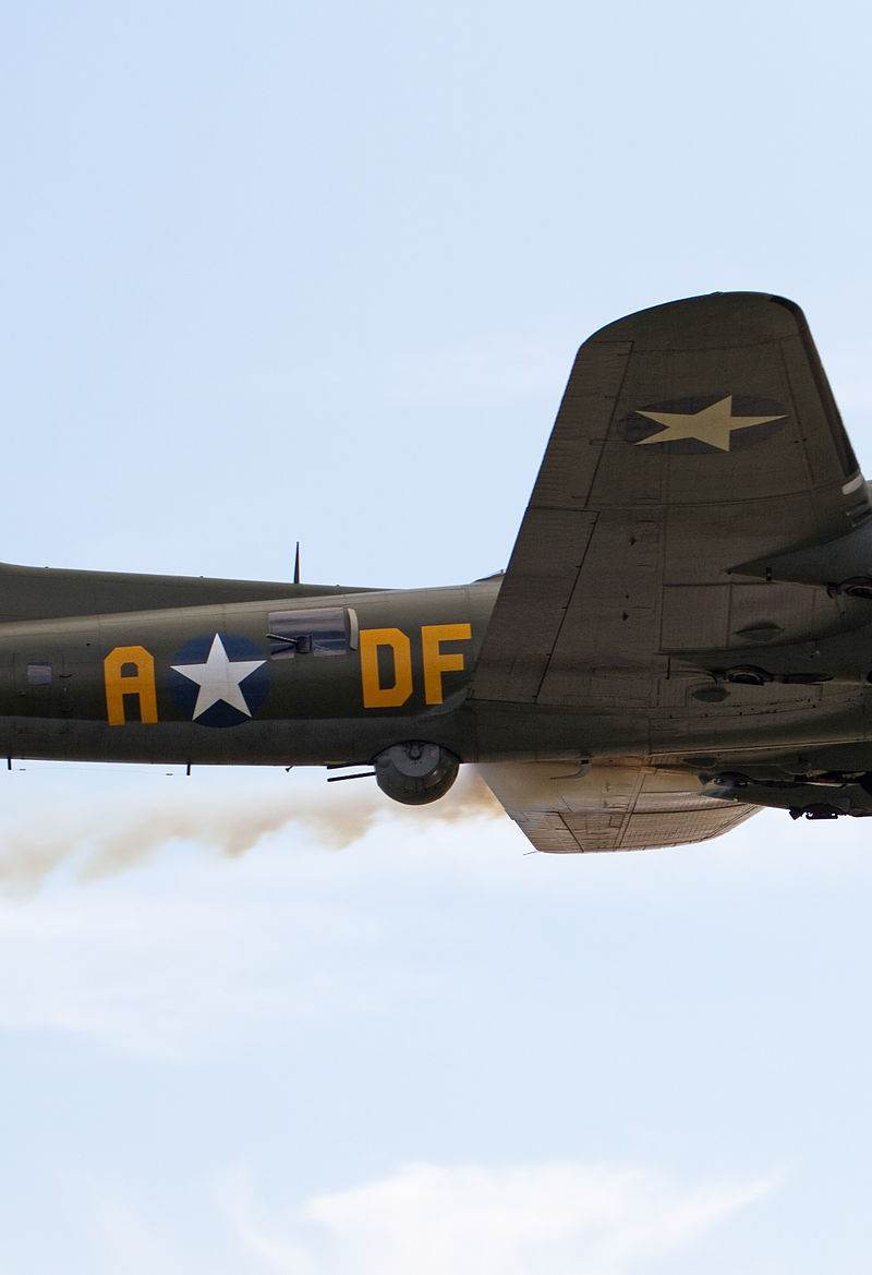  - Warbird