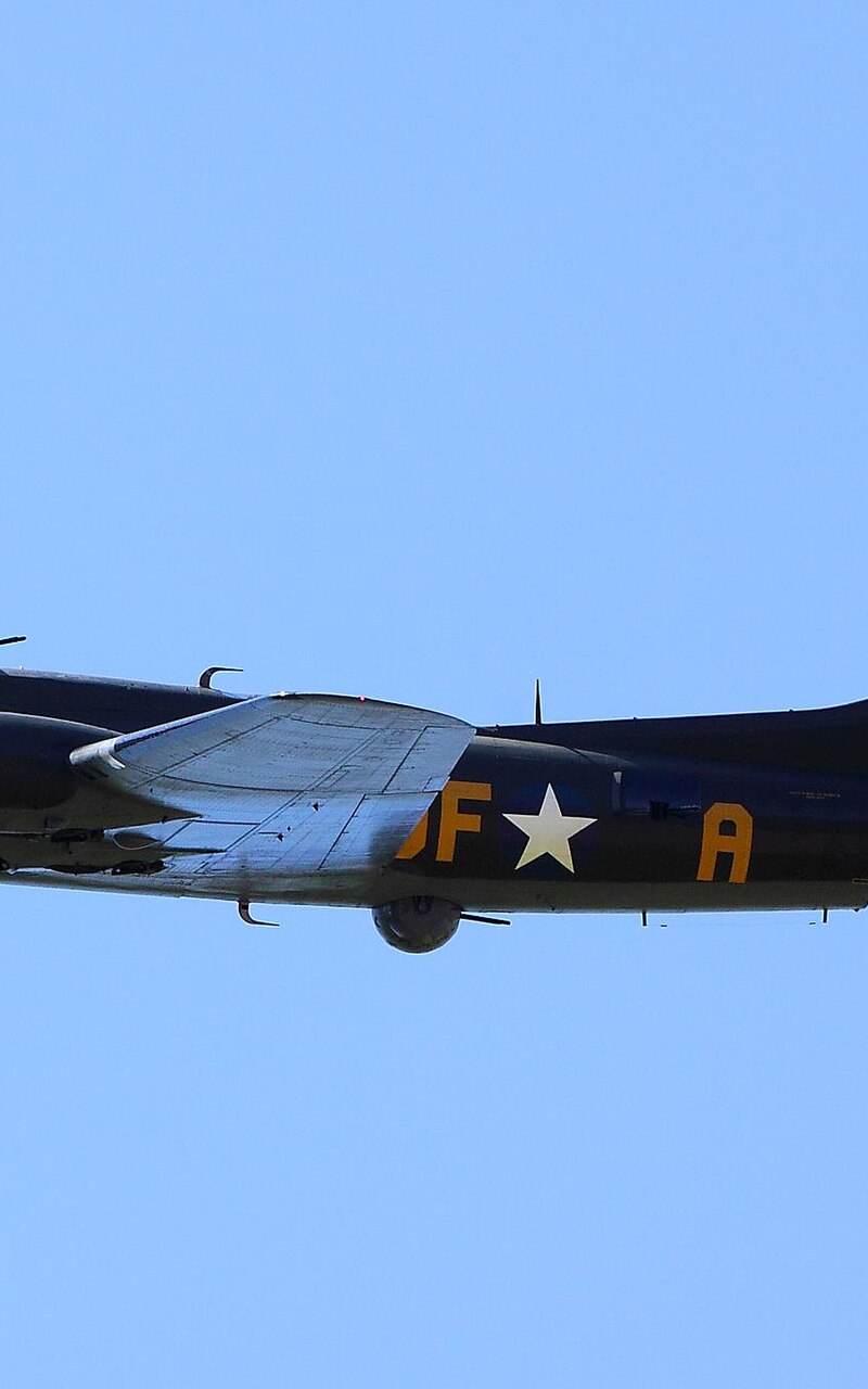  - Warbird