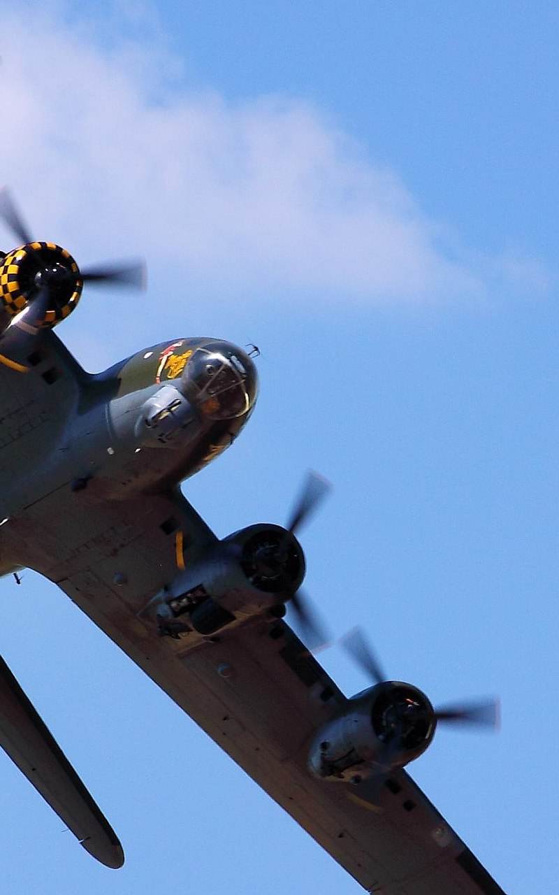  - Warbird