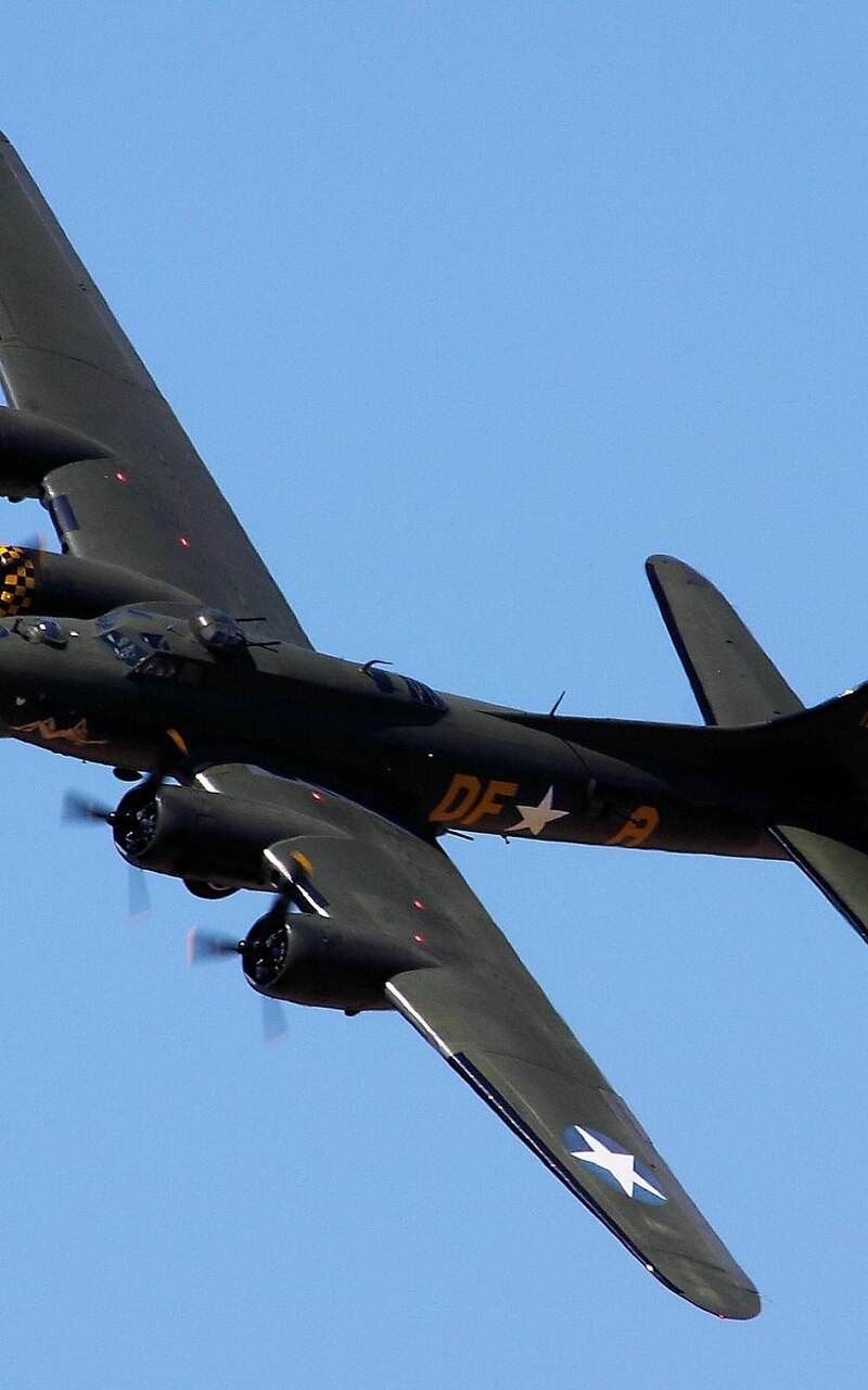  - Warbird
