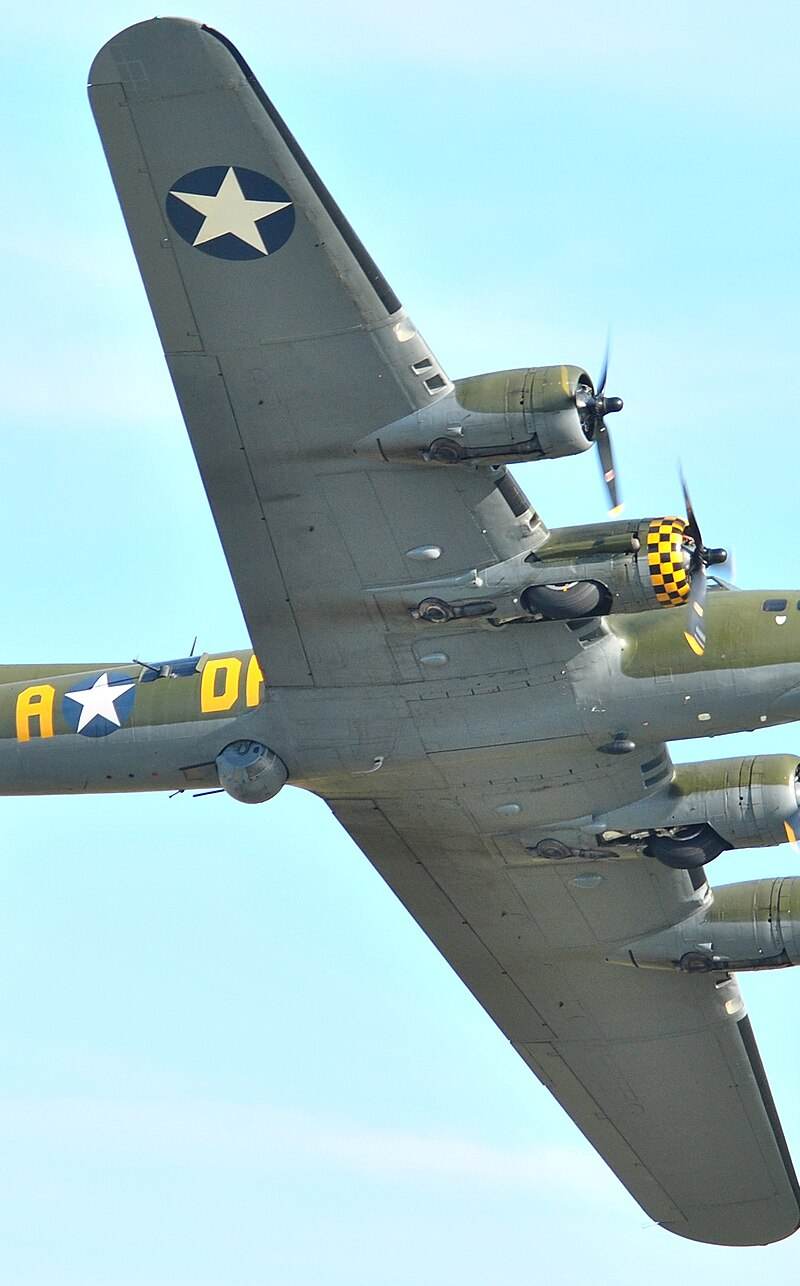  - Warbird