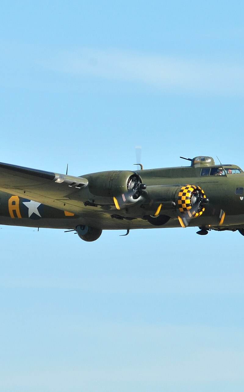  - Warbird