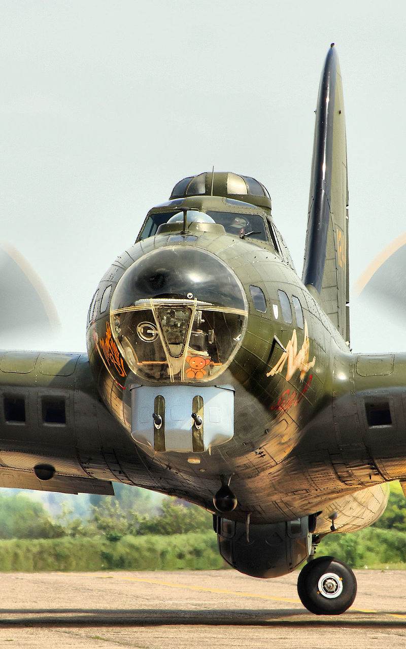  - Warbird