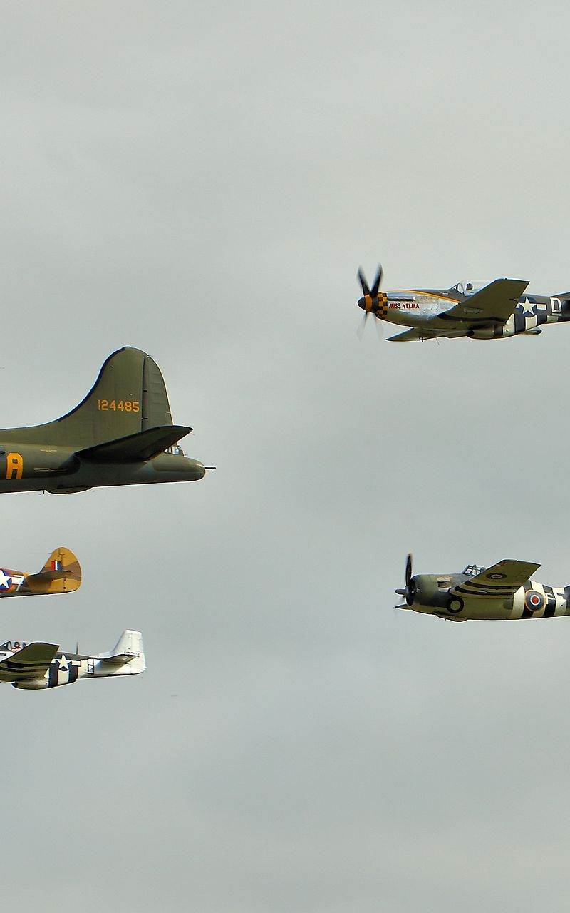  - Warbird
