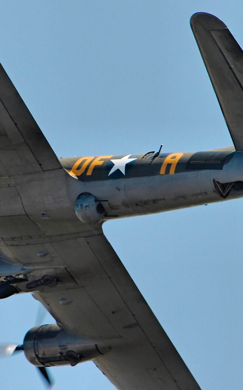 - Warbird