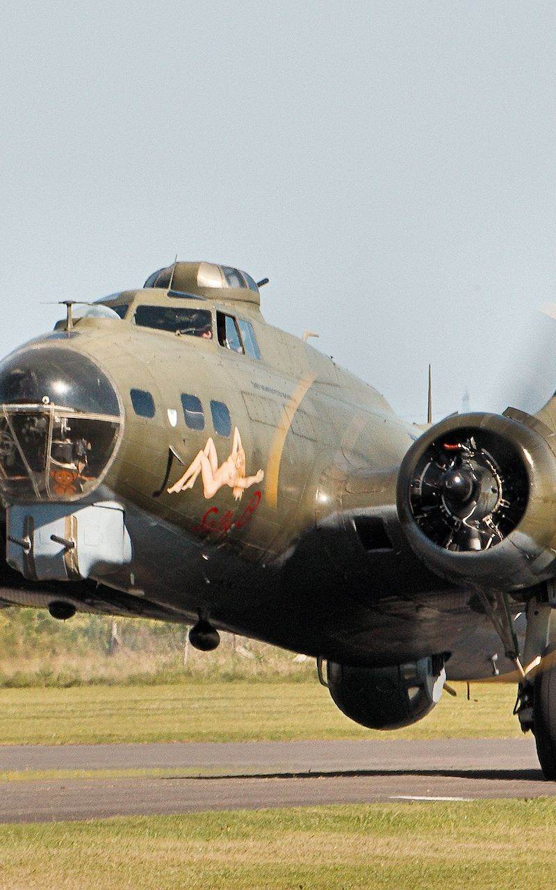  - Warbird