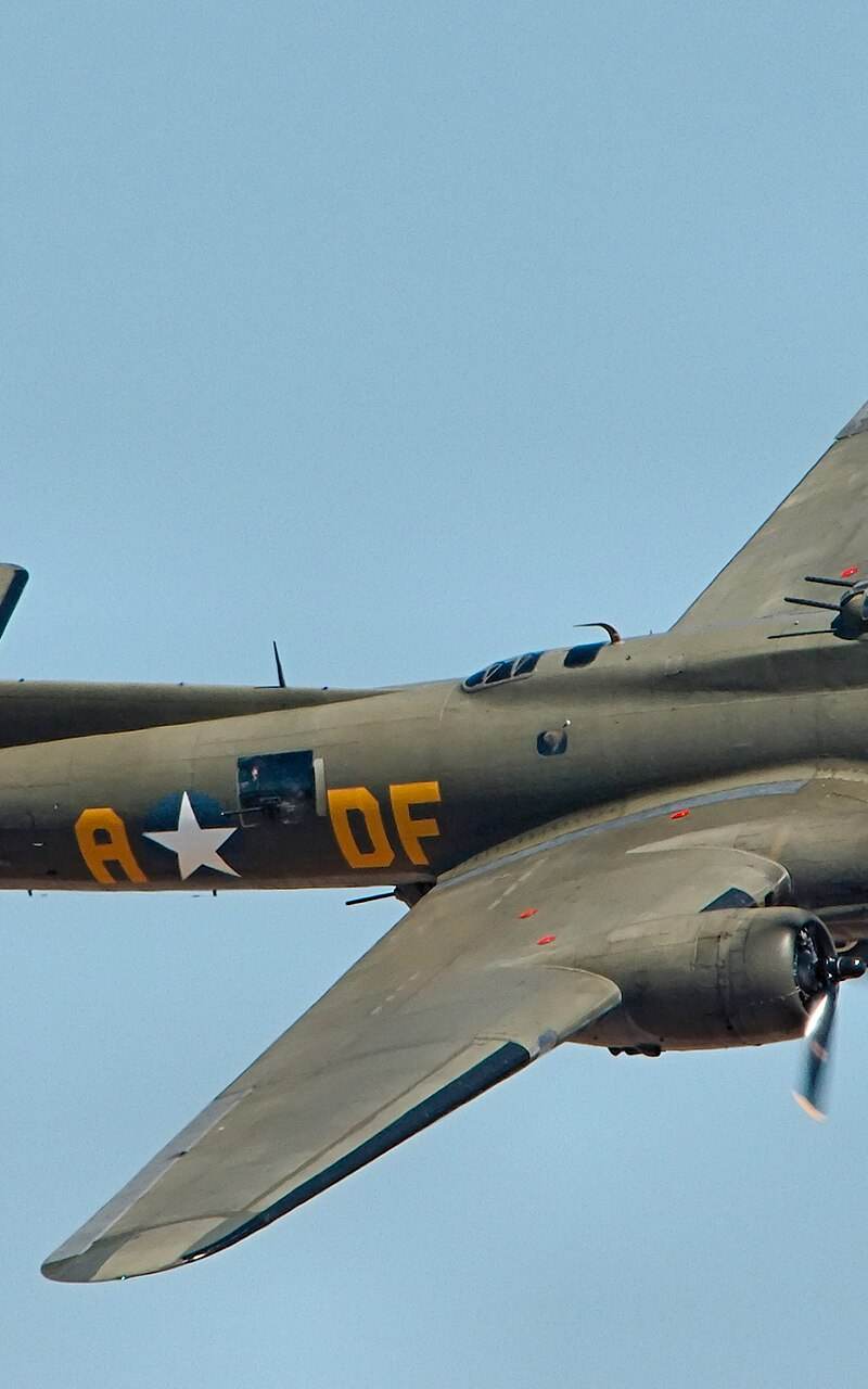  - Warbird