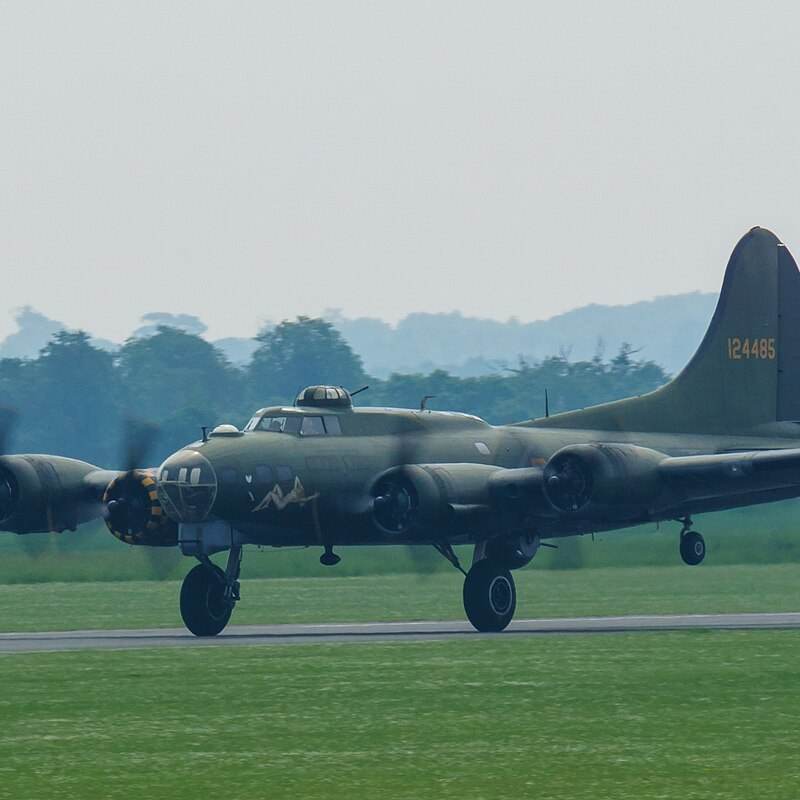  - Warbird