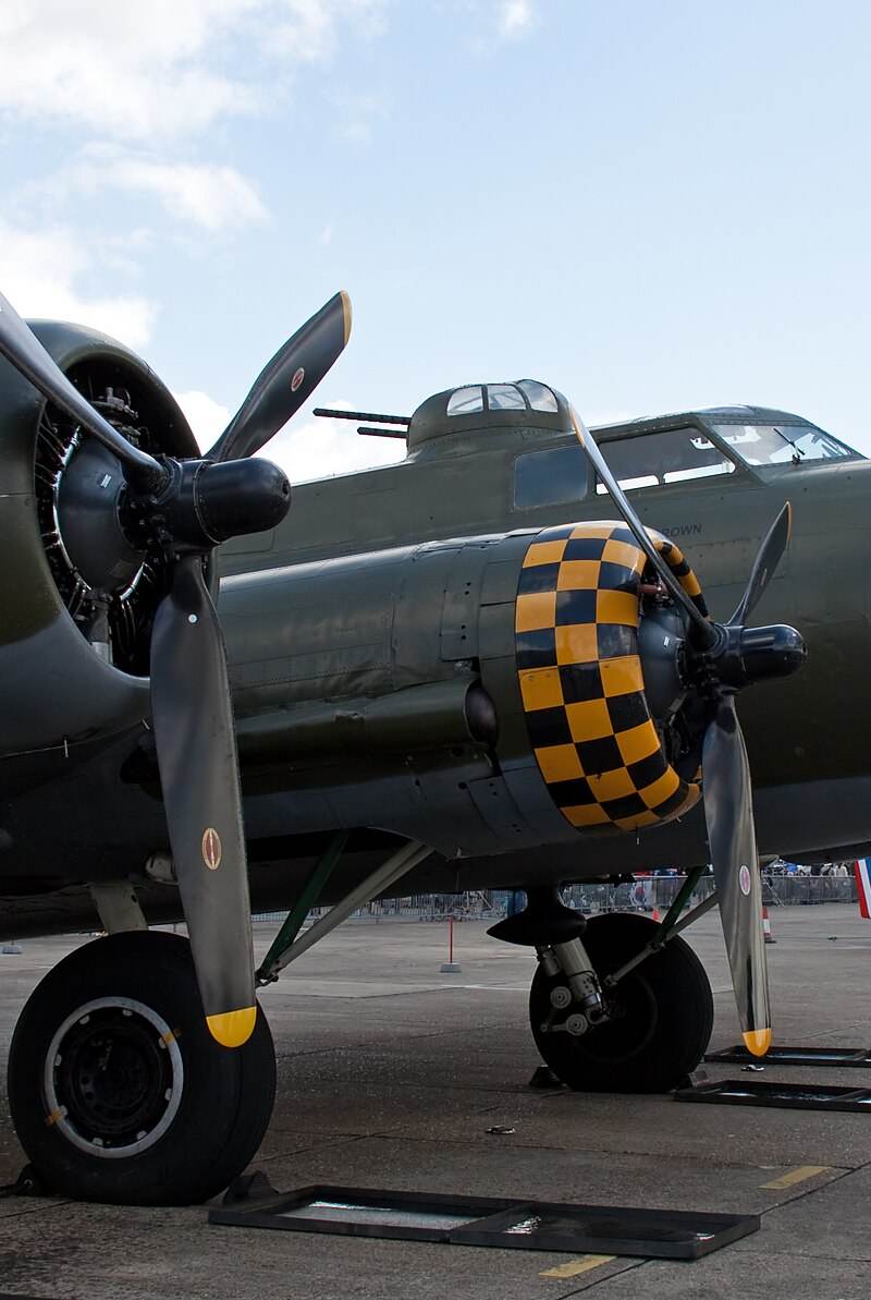  - Warbird