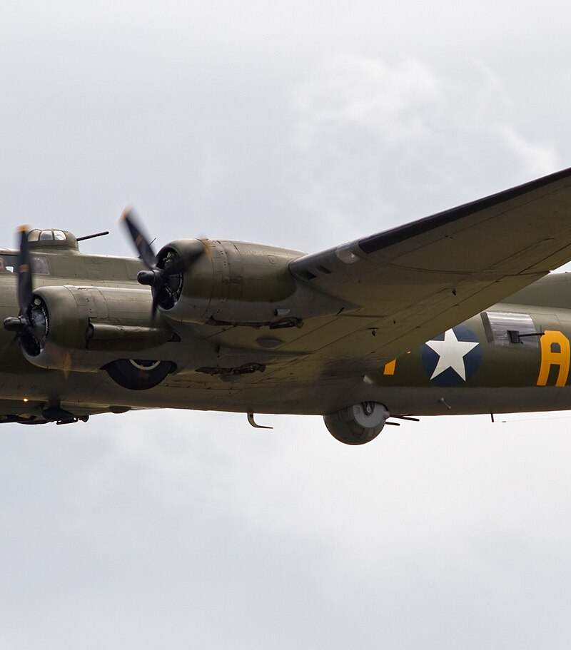  - Warbird