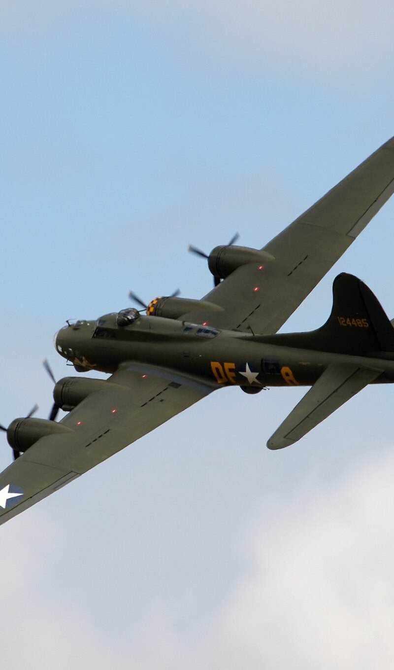  - Warbird