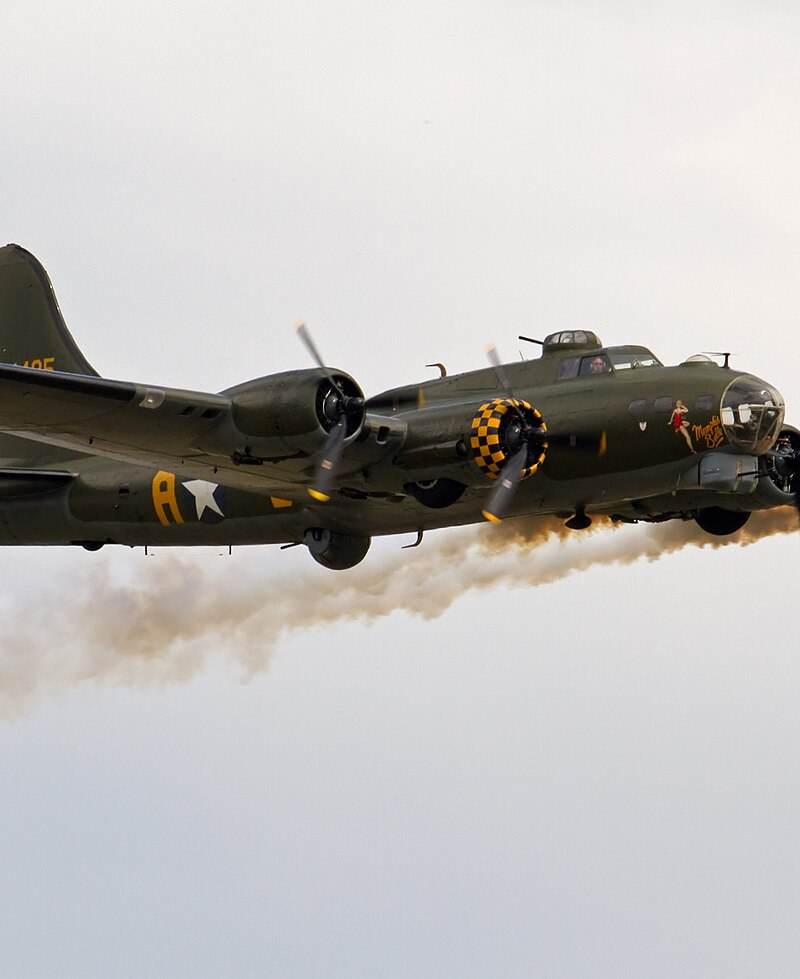  - Warbird