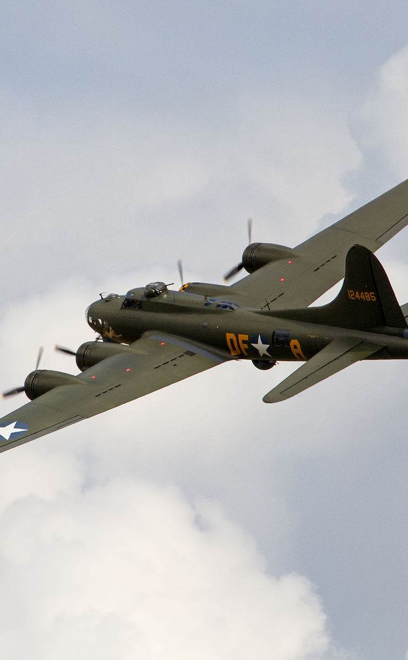  - Warbird