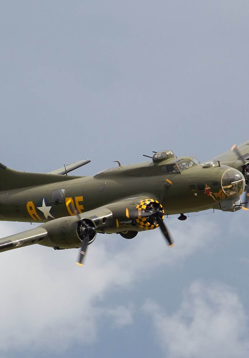  - Warbird