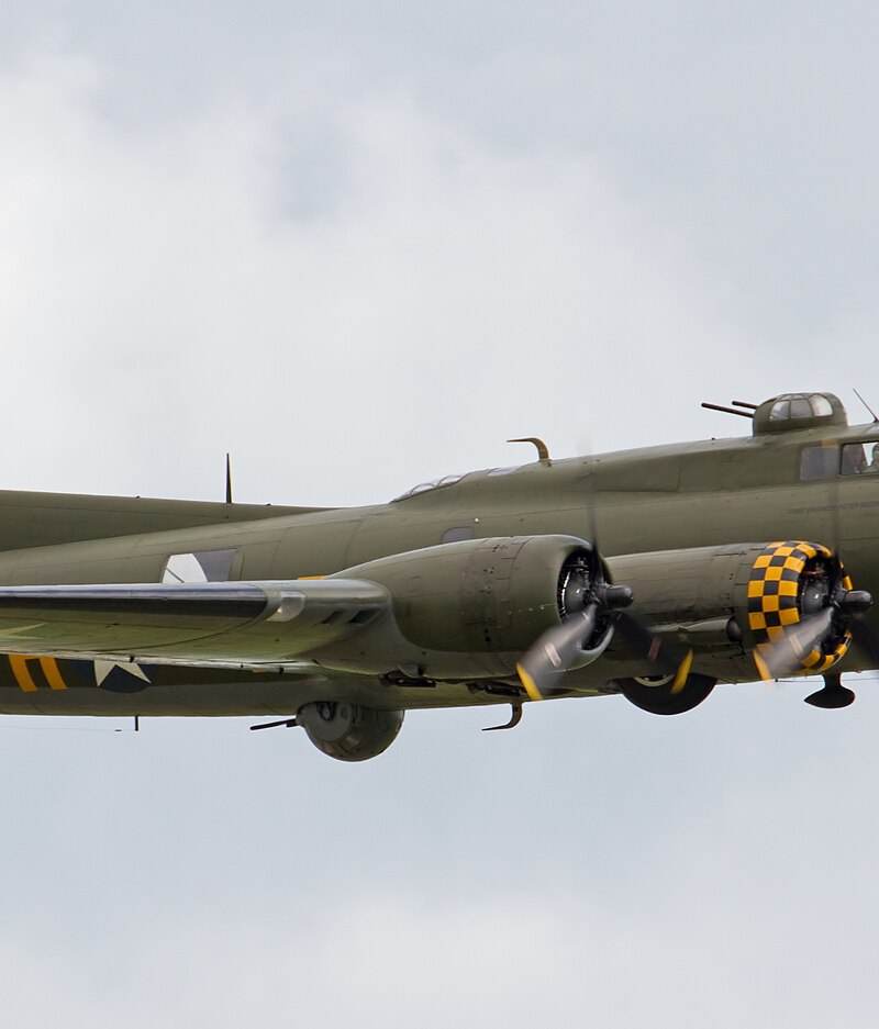 - Warbird