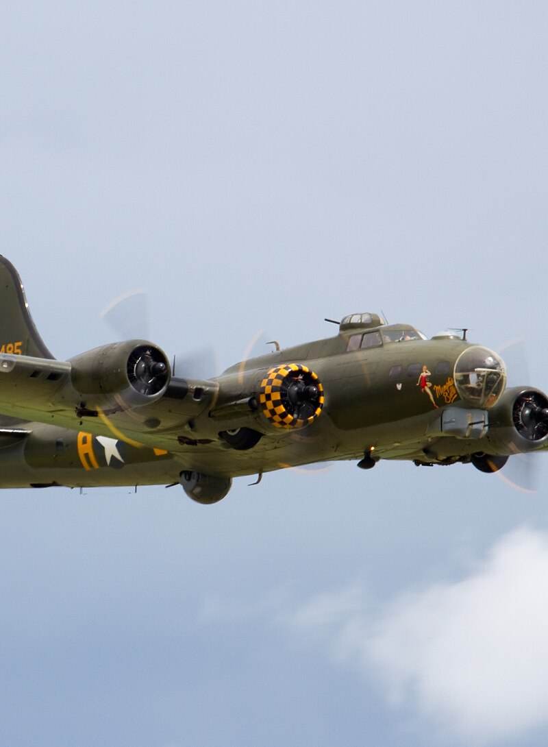  - Warbird