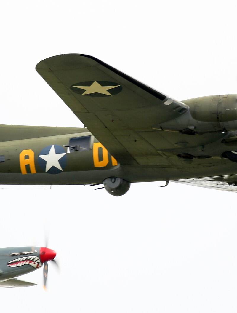  - Warbird