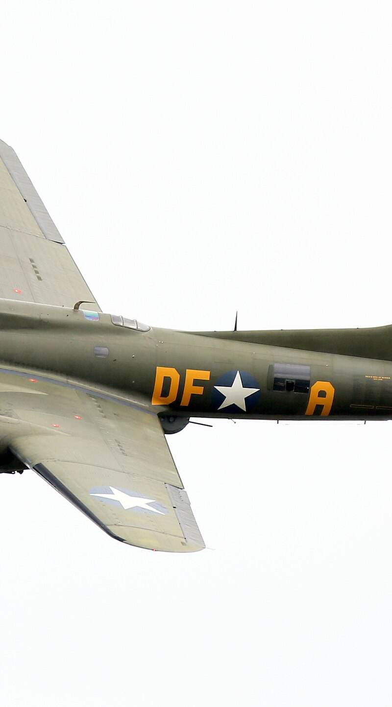  - Warbird