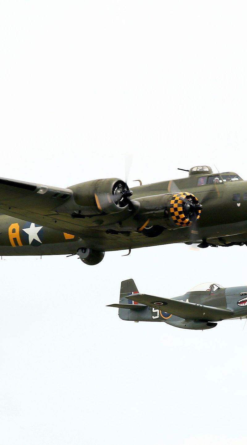  - Warbird