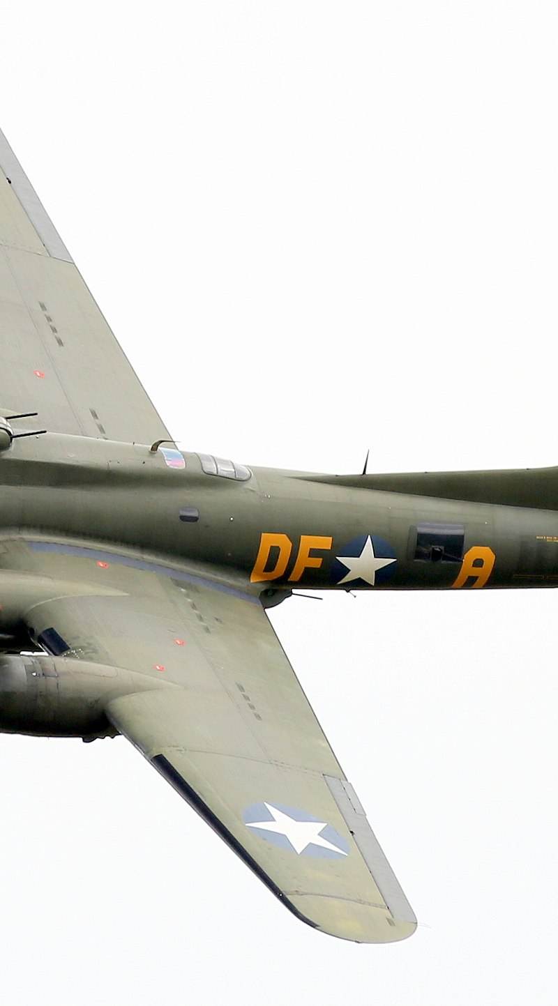  - Warbird