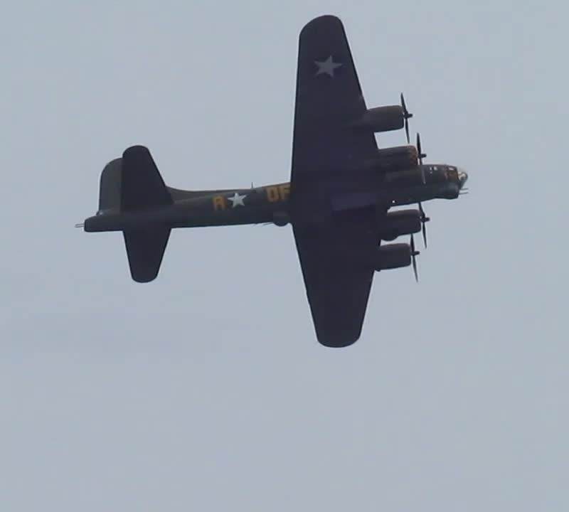  - Warbird