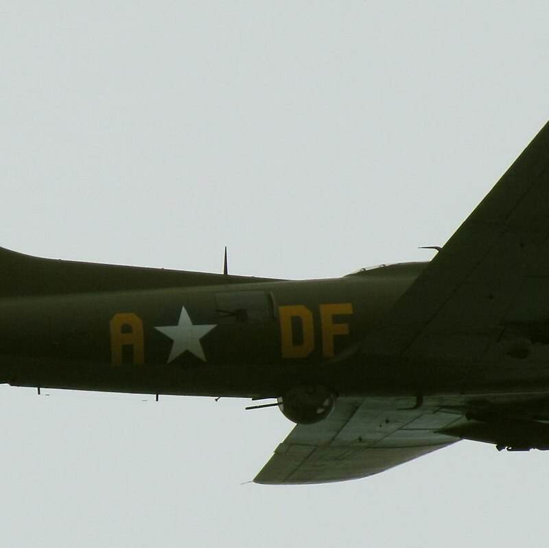  - Warbird