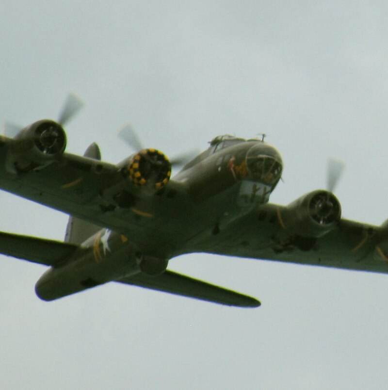  - Warbird