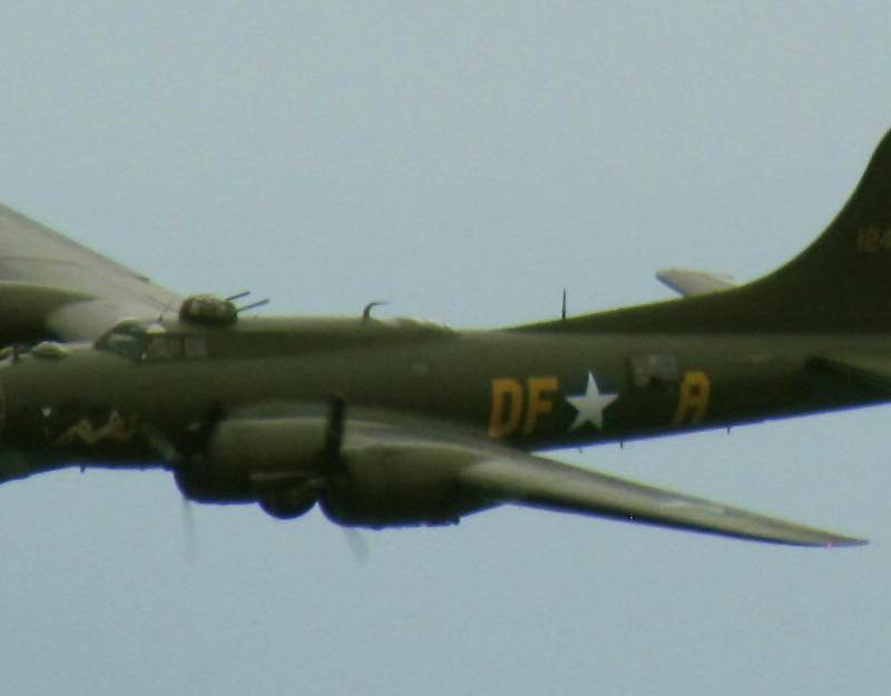 - Warbird