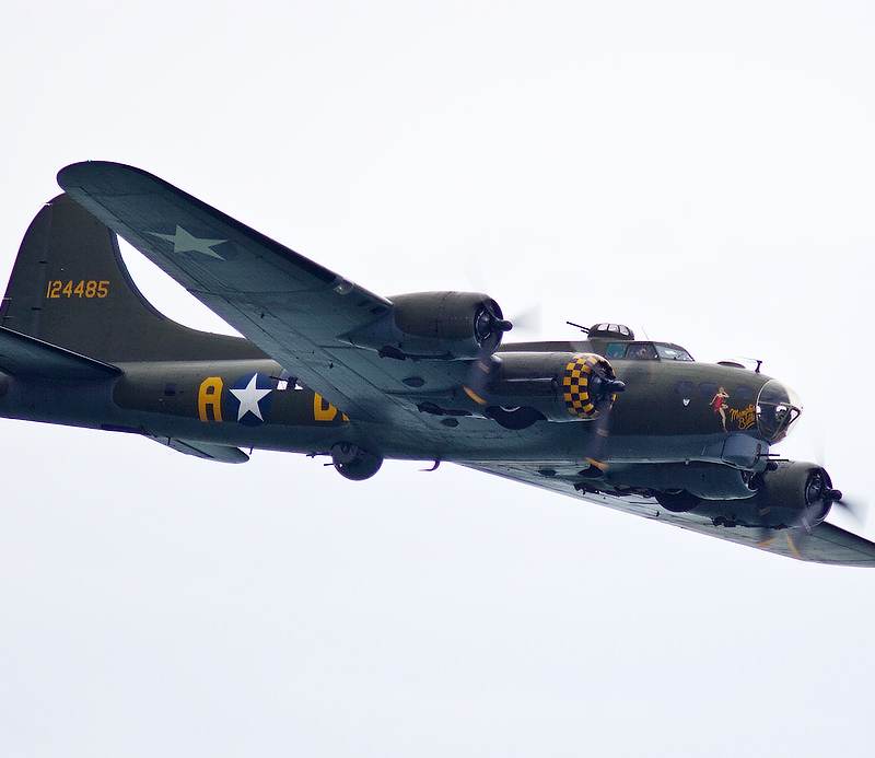  - Warbird