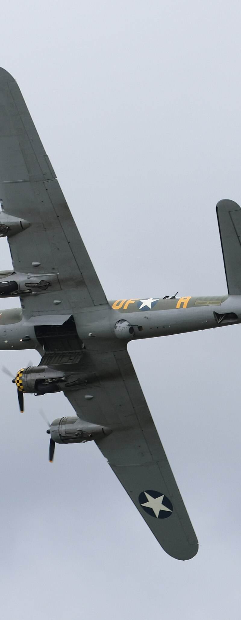  - Warbird