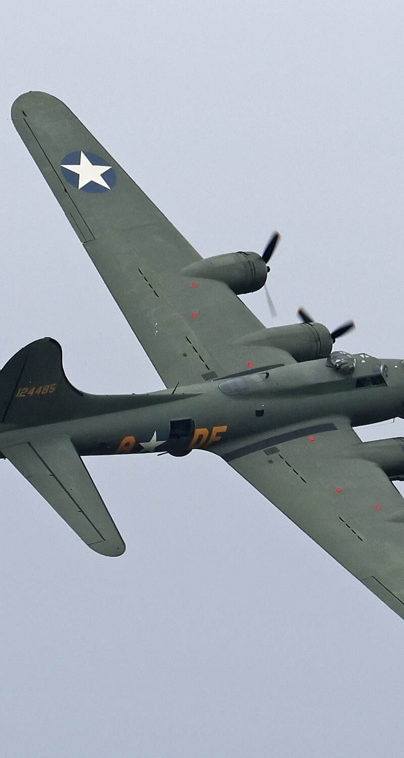  - Warbird