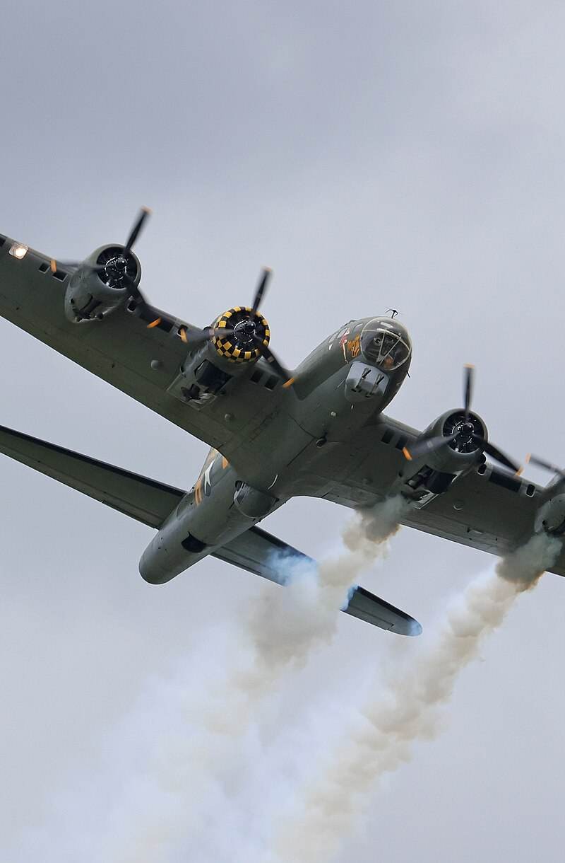  - Warbird