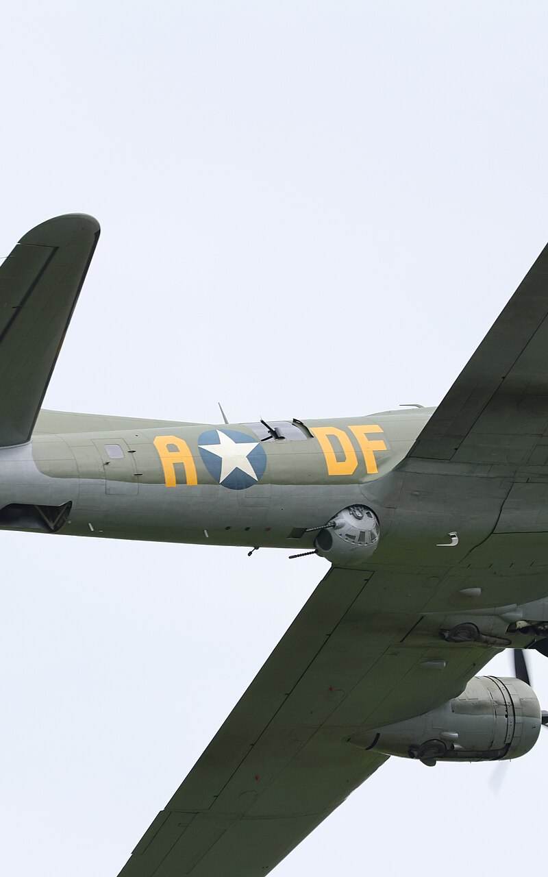  - Warbird