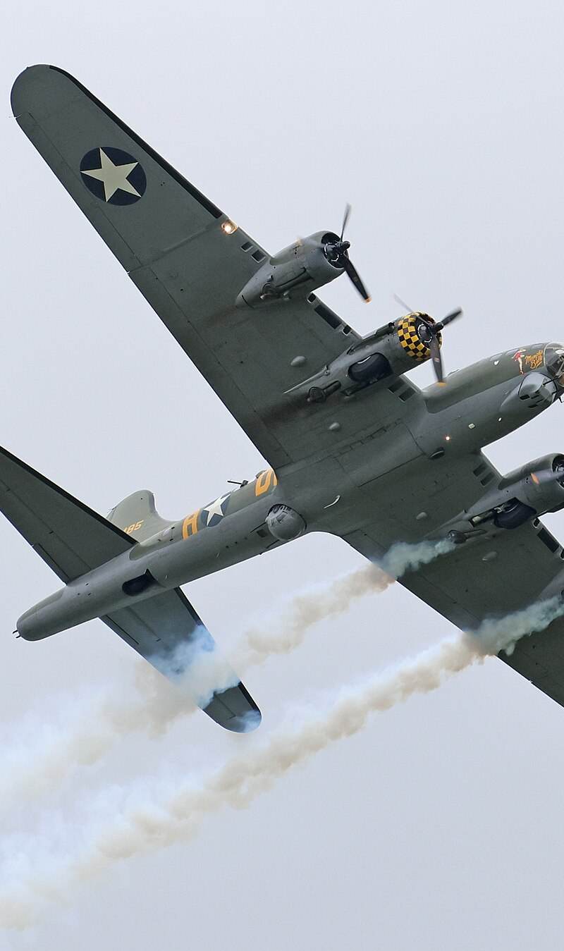  - Warbird