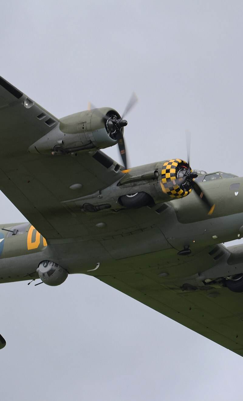  - Warbird
