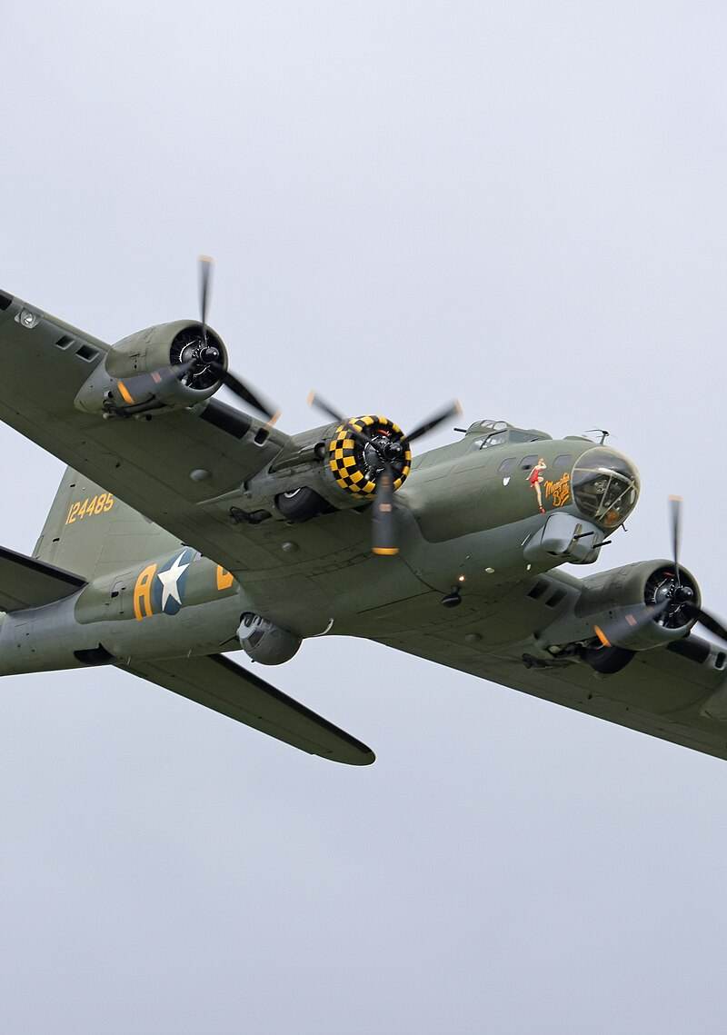  - Warbird