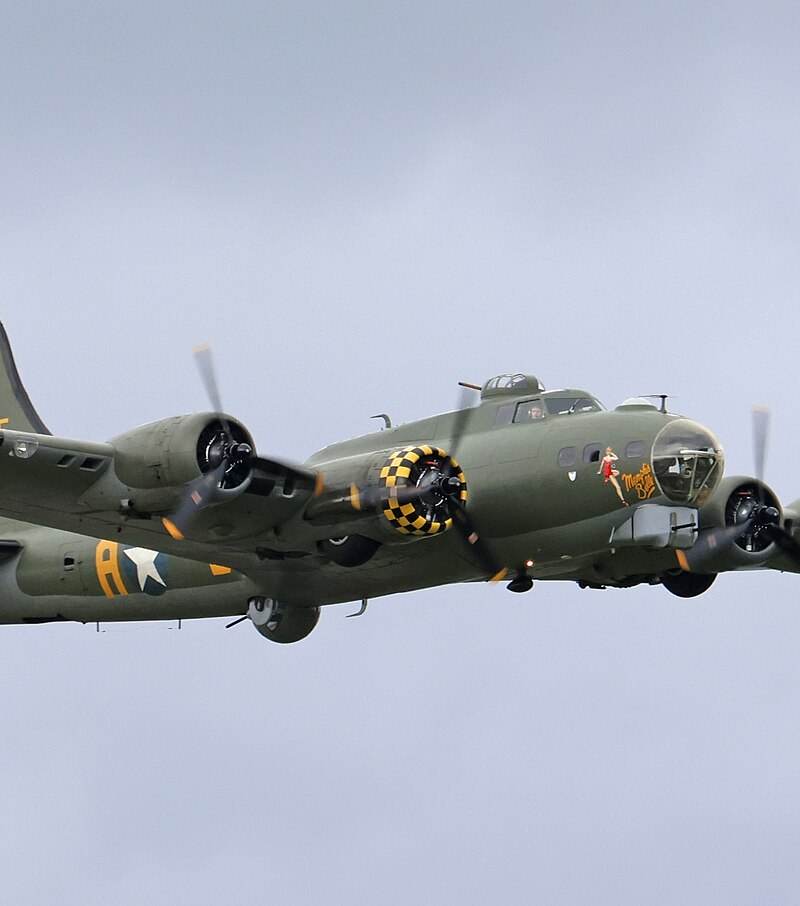  - Warbird