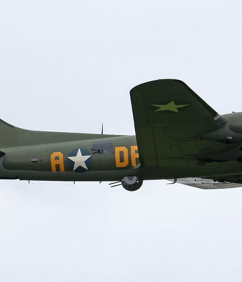 - Warbird