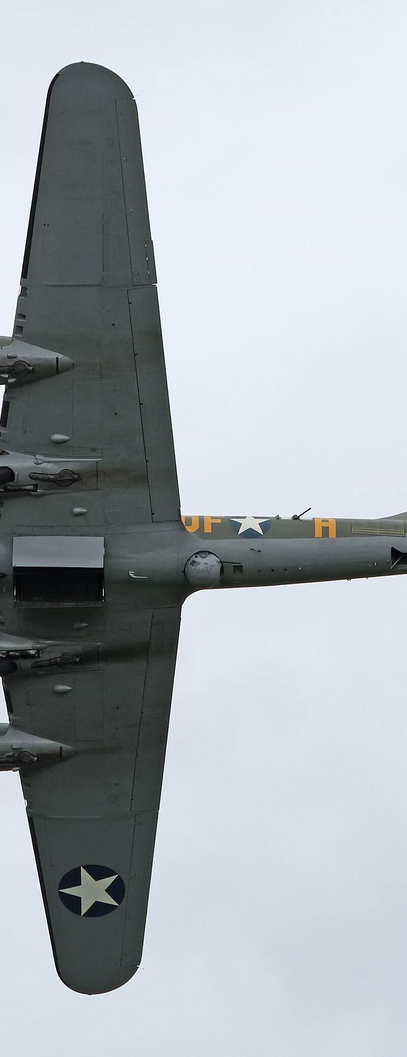  - Warbird