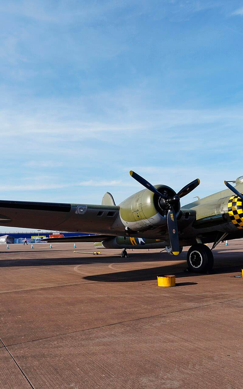  - Warbird