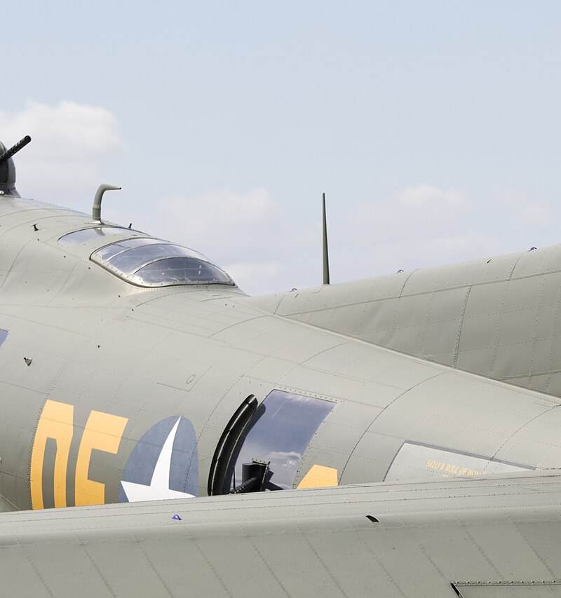  - Warbird