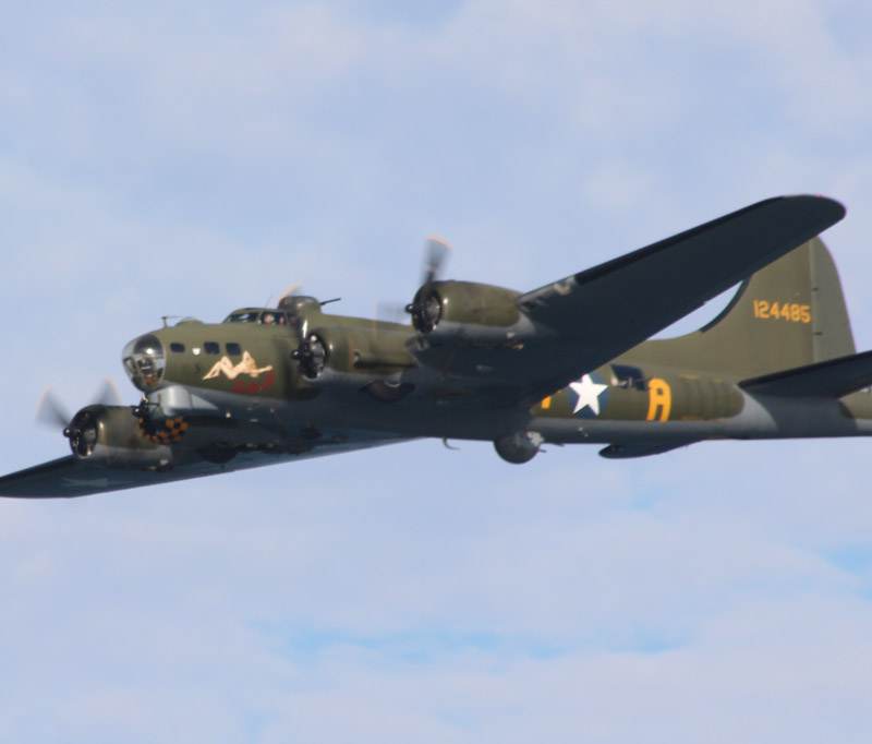  - Warbird