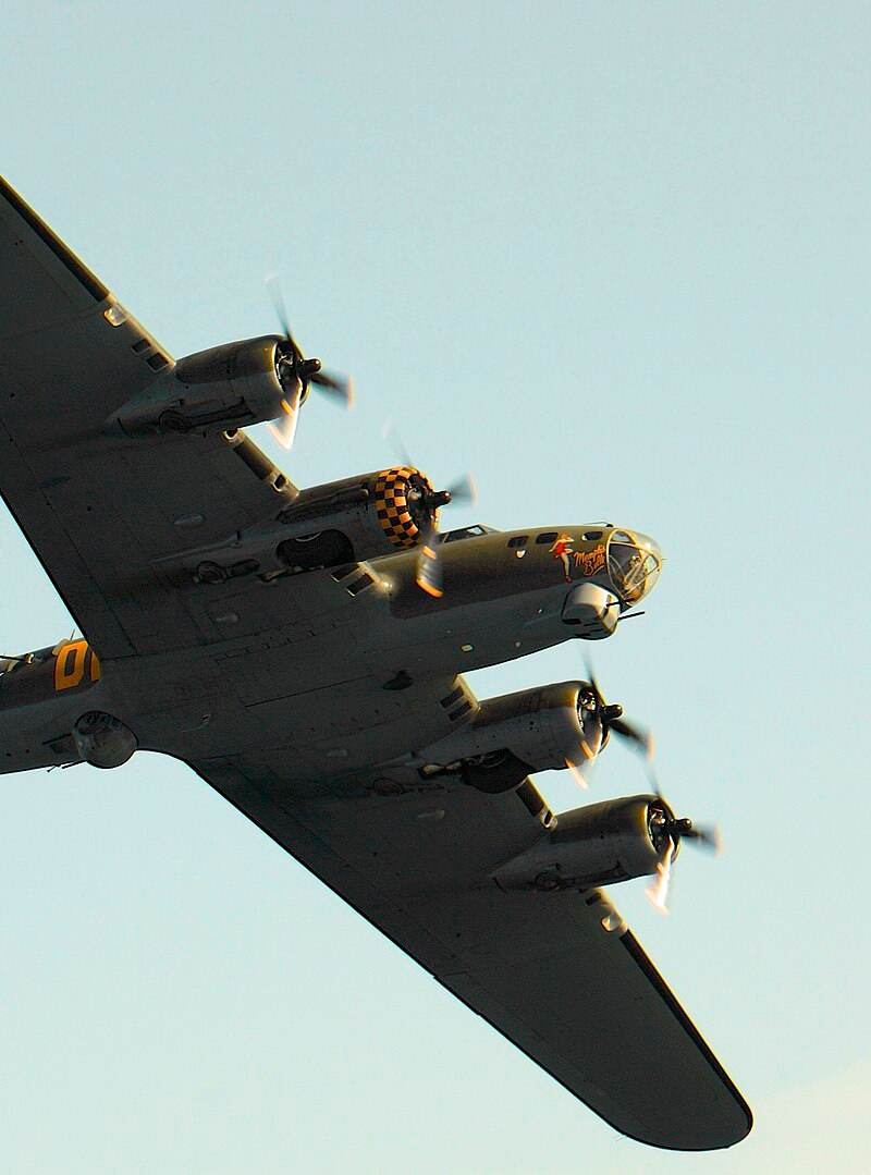  - Warbird