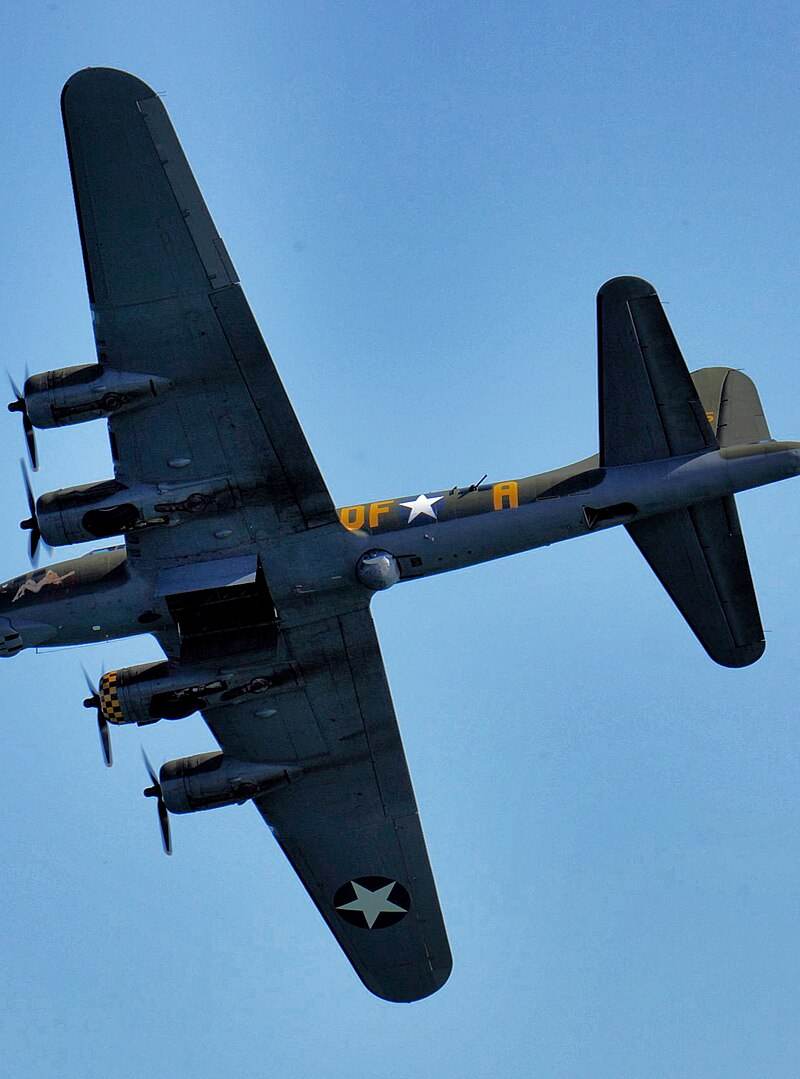  - Warbird