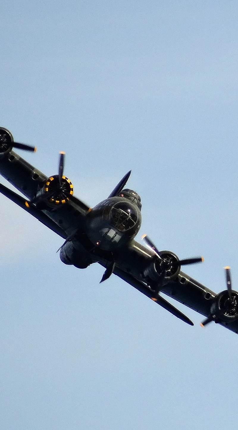  - Warbird