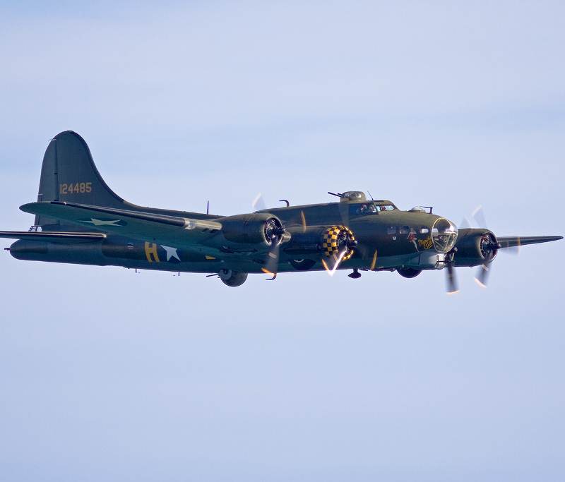  - Warbird