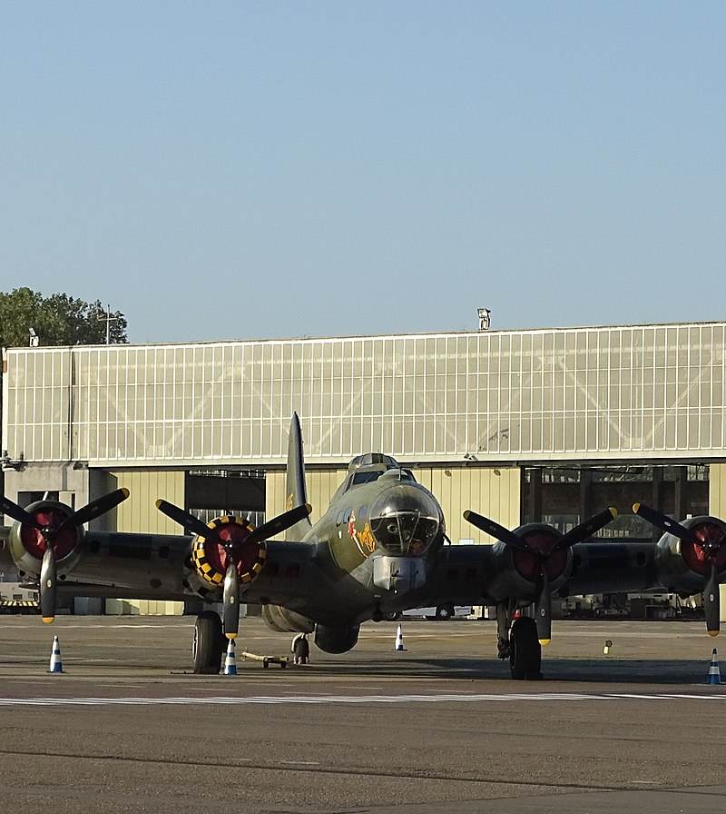  - Warbird