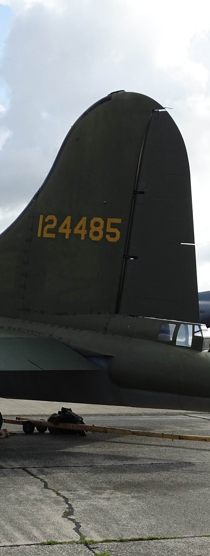  - Warbird