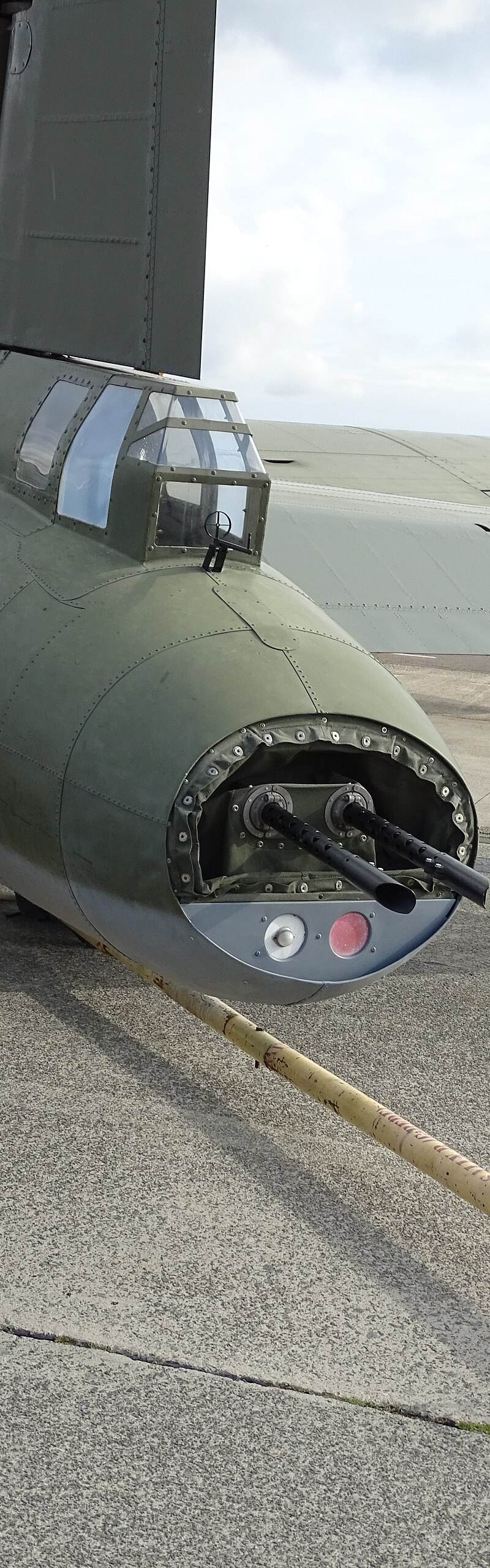 - Warbird