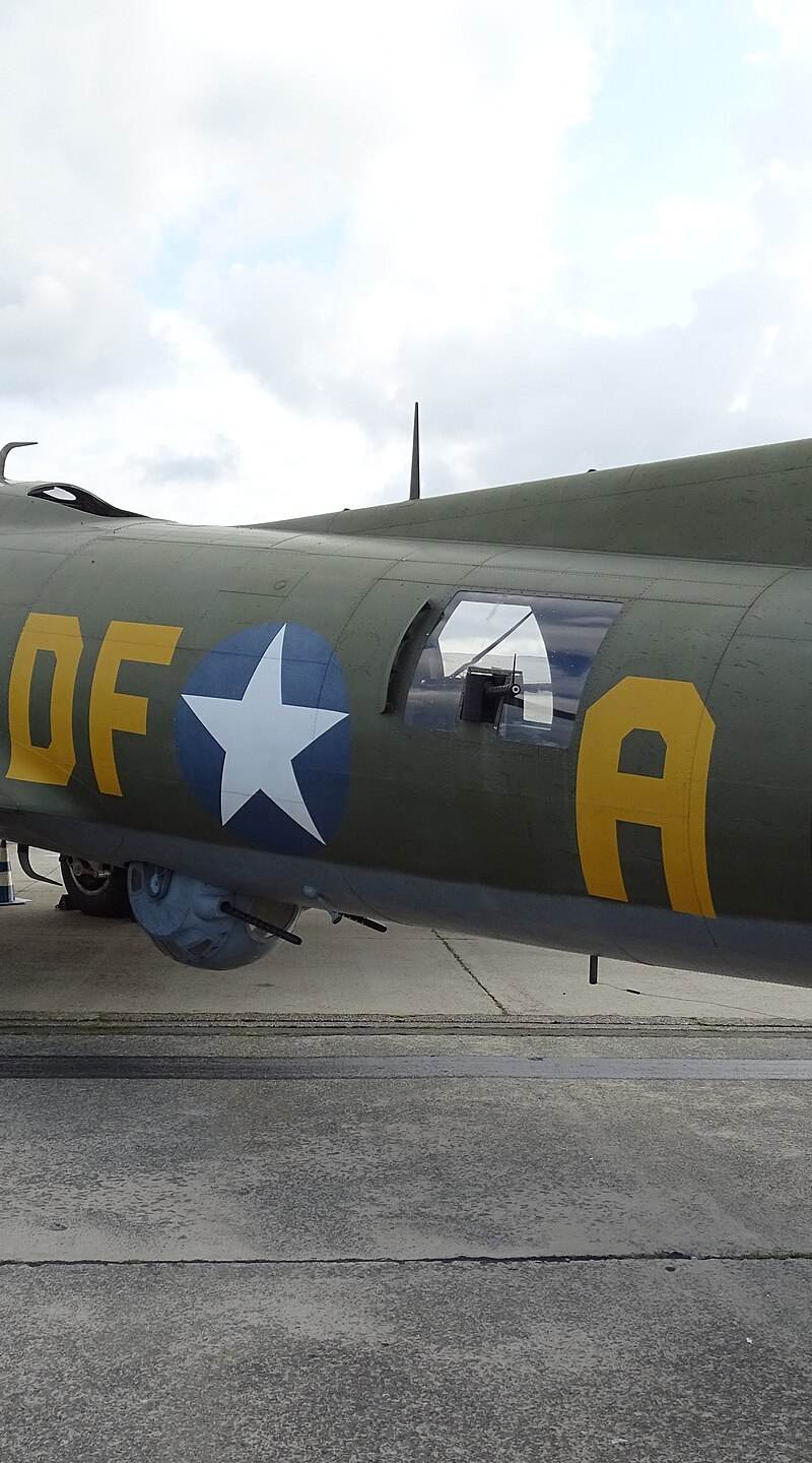  - Warbird
